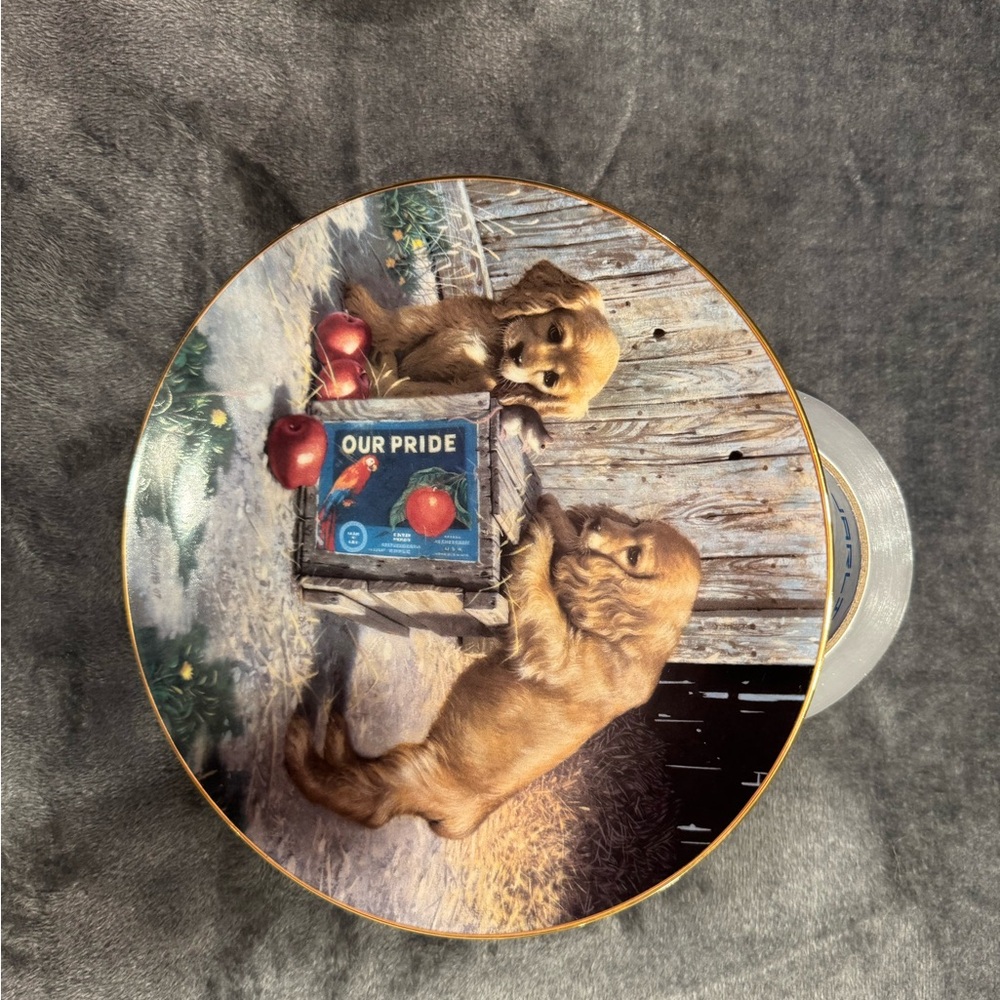 Puppy Playtime Plate Collection~ Double Take